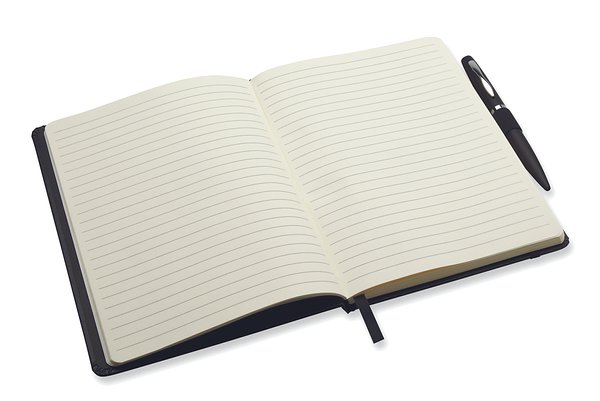 DIN A5 Notizbuch Lütholi