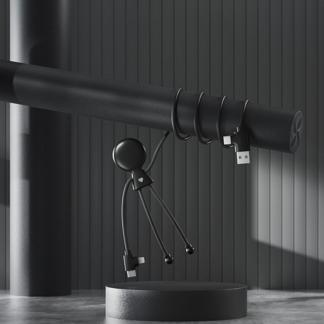 Mr. Bio Long Power Delivery Cable with data transfer Gierdich