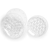 Picknick-Tellerchen 4er-Pack Fränzi