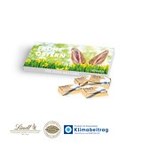 Schokotäfelchen in Präsentbox