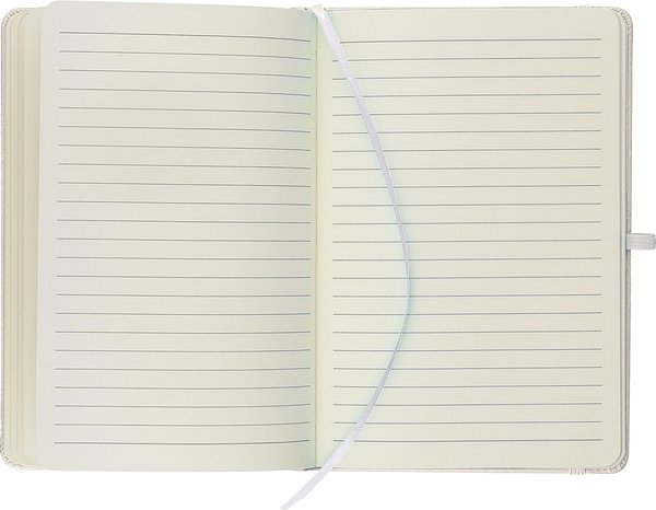 Recyceltes Notizbuch A5 Steilga