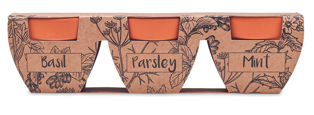 Terracotta-Set Kräuter Lieritli