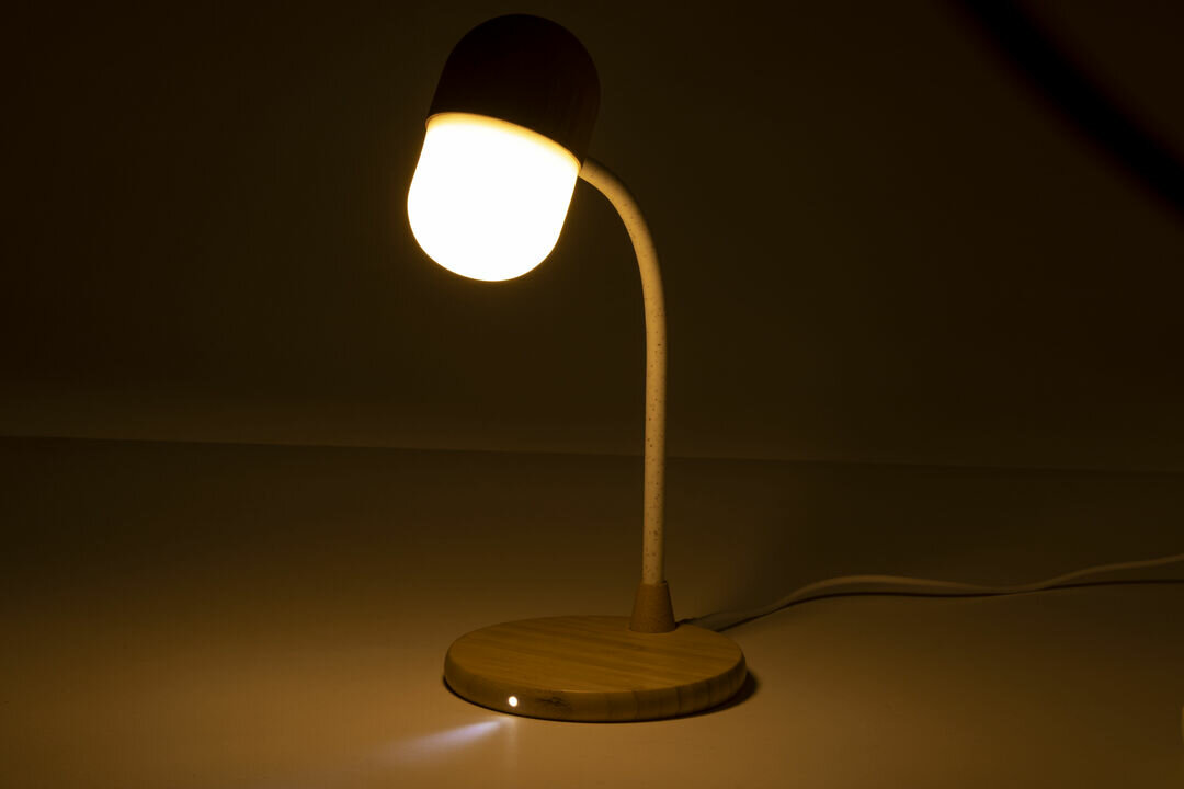 Multifunktion Lampe Idars
