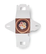 Saat-Set Kinder Ruia