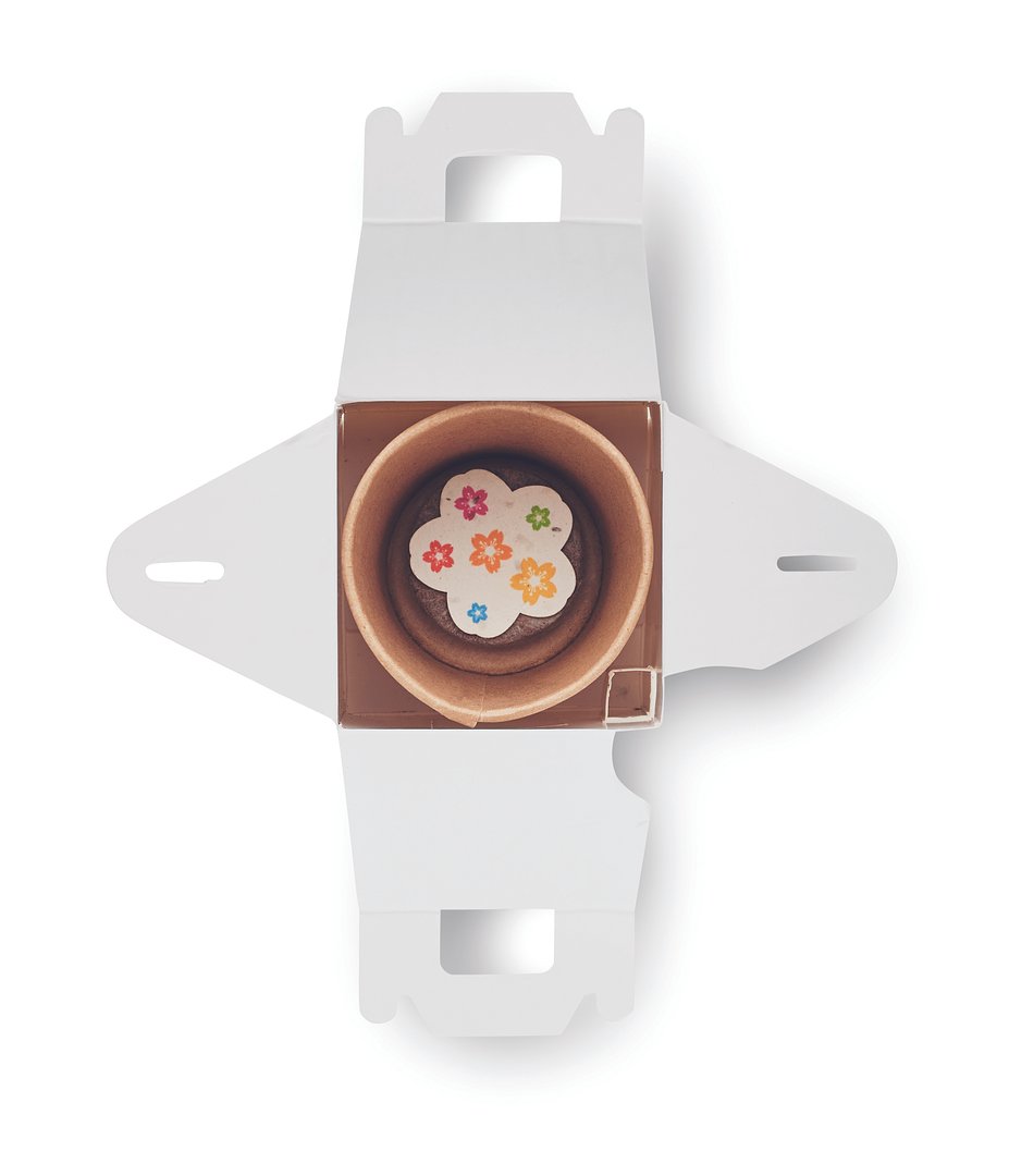 Saat-Set Kinder Ruia