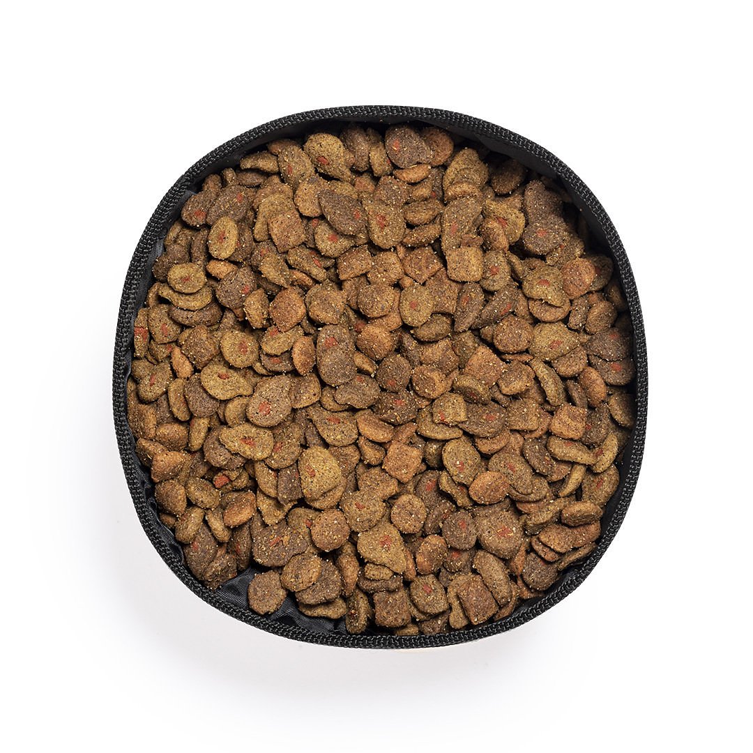 Faltbare Schüssel Idppy