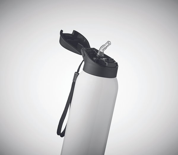 Doppelwandige Flasche 580 ml Trudyld