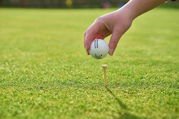 Golf Tees aus Holz Orsichast