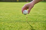 Golf Tees aus Holz Orsichast