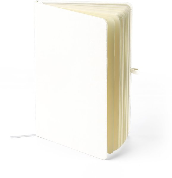 Recyceltes Notizbuch A5 Steilga