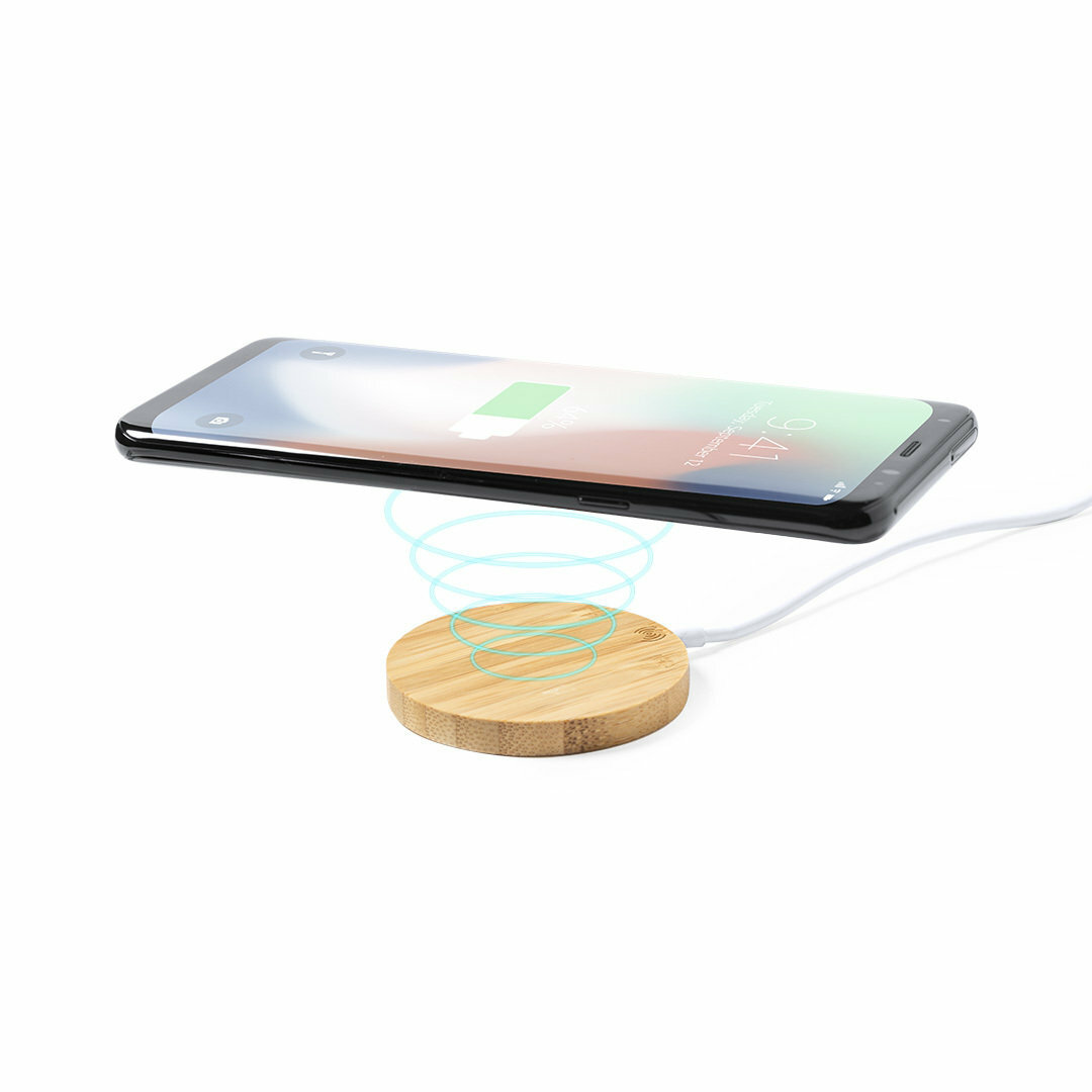 Halter Ladegerät Idopy