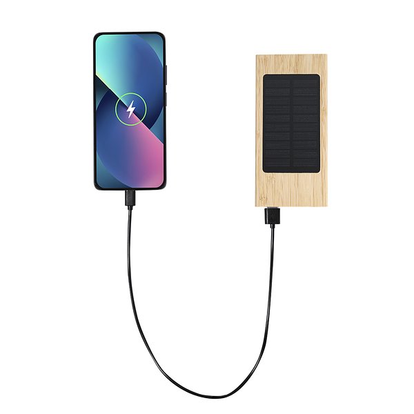 Power Bank Idden
