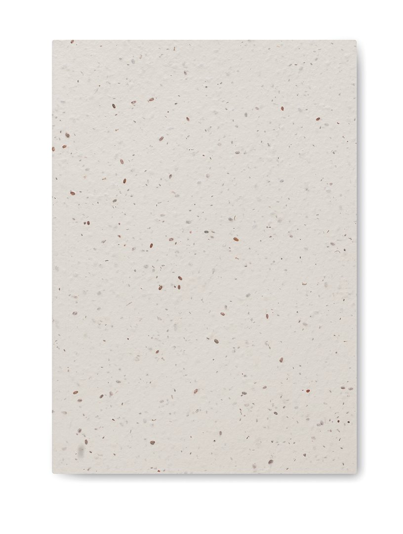 DIN A5 Notizbuch Samenpapier Annelie