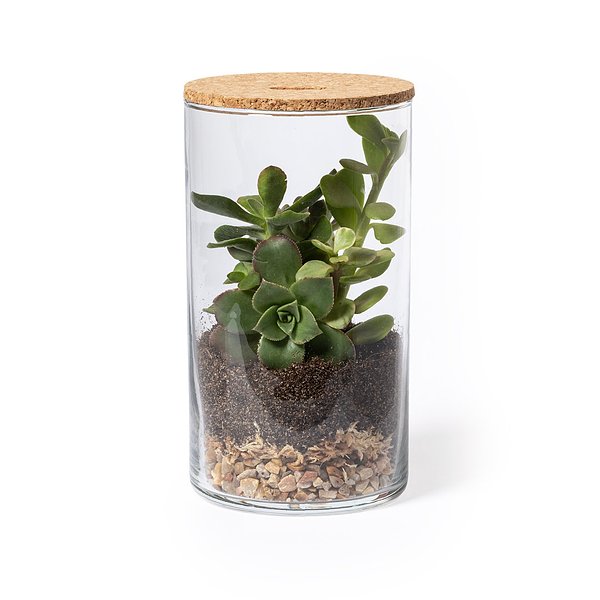 Terrarium Idmak