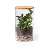 Terrarium Idmak