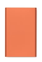 Powerbank mit Ladestation 15W Warena