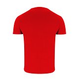 Erwachsene Farbe T-Shirt Idins