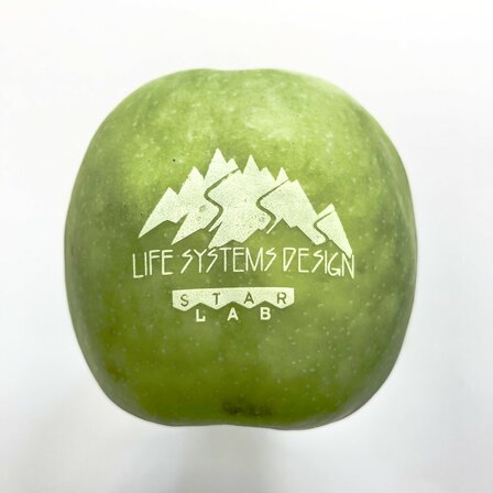 Logo Frucht graviert