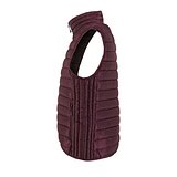 Männer Bodywarmer Andria
