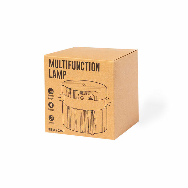 Multifunktion Lampe Idlax