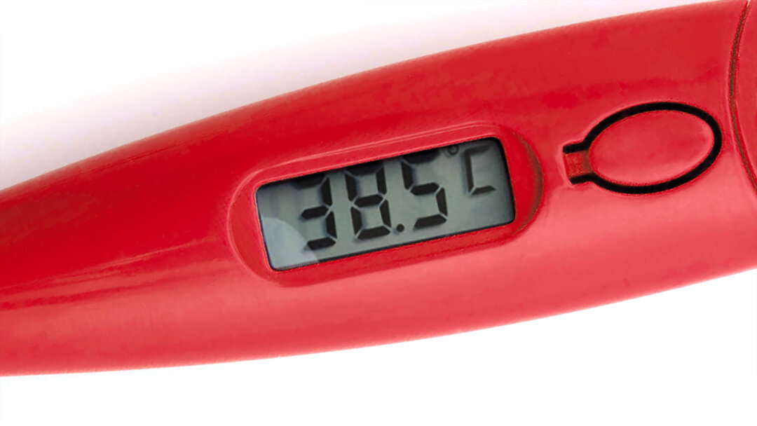Digitales Thermometer Idvin