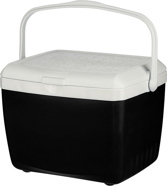 Kühlbox 13 Liter Orinan