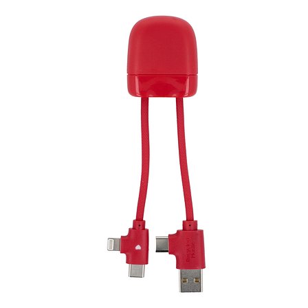 ICE-B Multi-Ladekabel Stgaulf