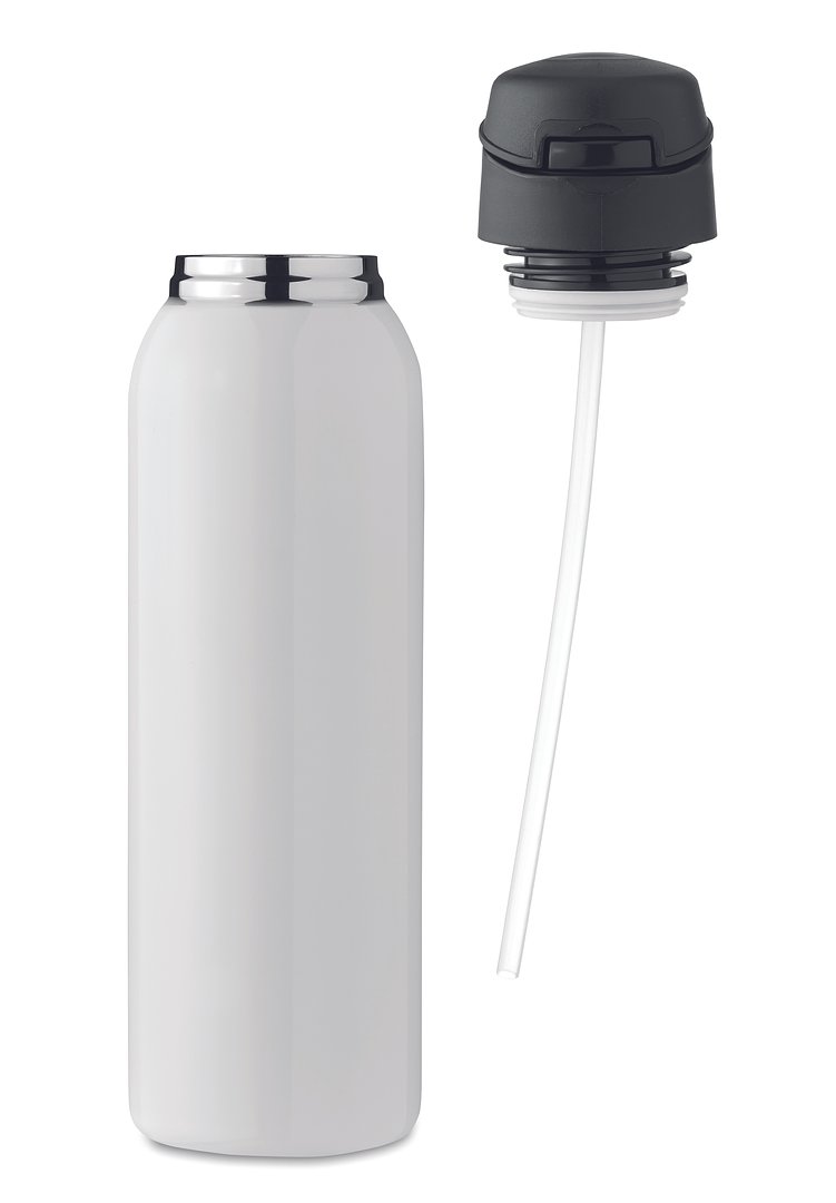 Doppelwandige Flasche 580 ml Trudyld